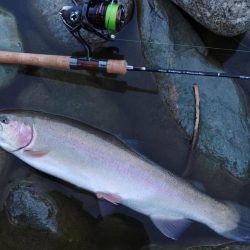 危うくボウズになるとこだった ～天竜川ルアーフライ専用区～